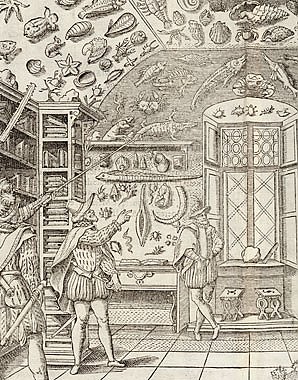 Das Museum des Ferrante Imperato, 1599