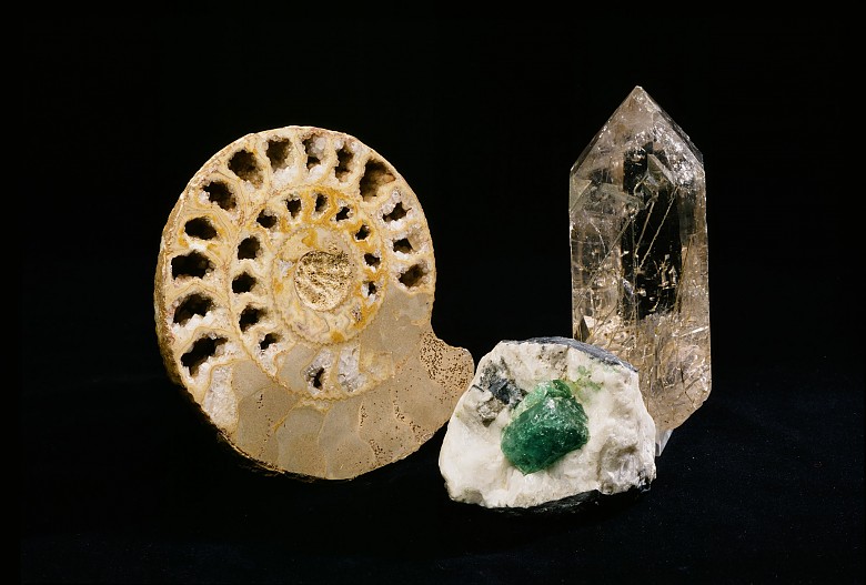 Kaiserammonit, Smaragdstufe und Bergkristall aus der Sammlung von Franz Stephan