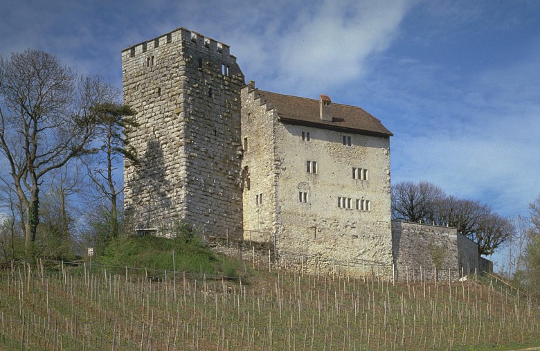 Der habsburger kaiser maximilian i. Habsburger Heute : Schloss Habsburg heute | Die Welt der Habsburger