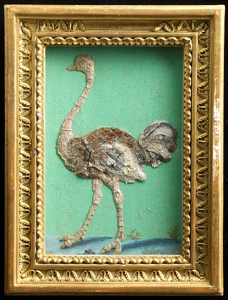 Ostrich, c. 1610